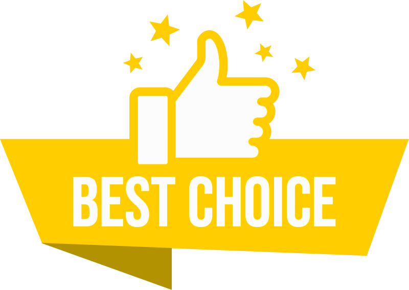 Best Choice Icon